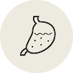 Liver Health