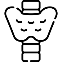 Thyroid Support